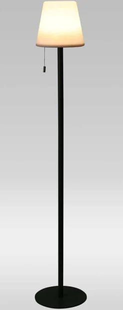 Lamp Colour Changing  Zwart