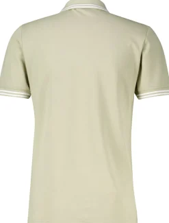 Polo Bruin