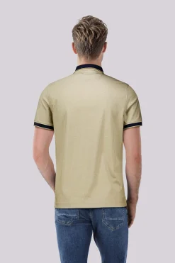 Polo Bruin