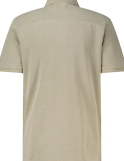 Polo Bruin