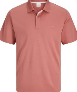 Polo Rodney Roze