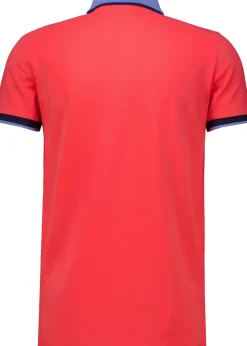 Polo Timothy Rood
