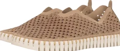 Schoen Beige