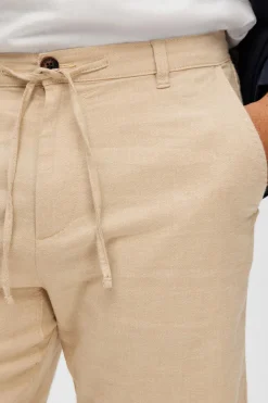 Short Brody Bruin