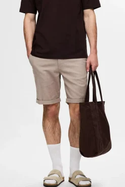Short Bruin