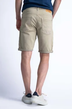 Short Bruin