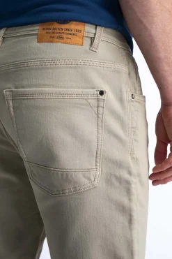 Short Bruin