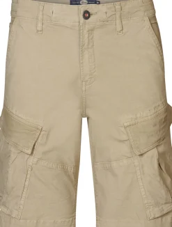 Short Bruin