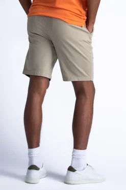 Short Chino Bruin