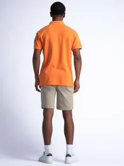 Short Chino Bruin