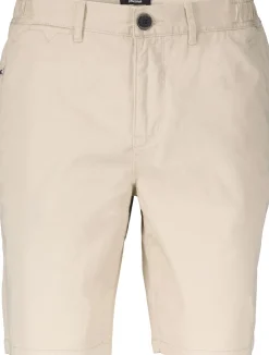 Short Chino Bruin