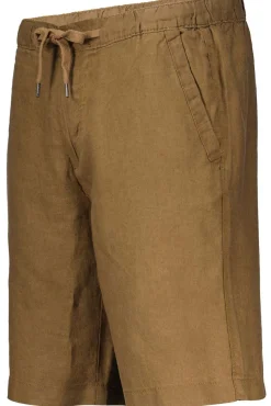 Short Chino Bruin