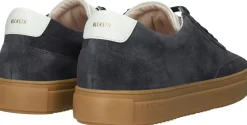 Sneakers Slate Harper Bruin
