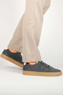 Sneakers Slate Harper Bruin