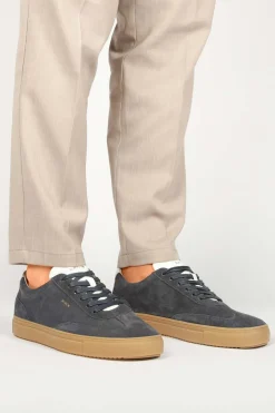 Sneakers Slate Harper Bruin