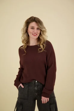 Sweater Bruin