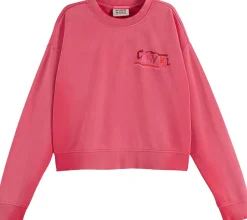 Sweater Front Back Artwork Rood