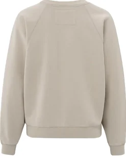 Sweater Raglan Grijs