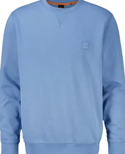 Sweater Westart Blauw