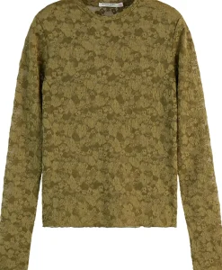 Top Groen
