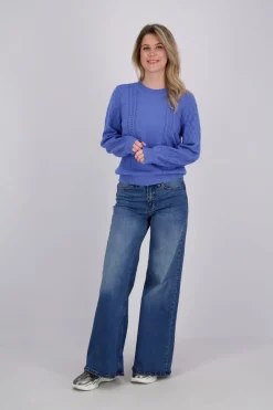 Trui Blauw