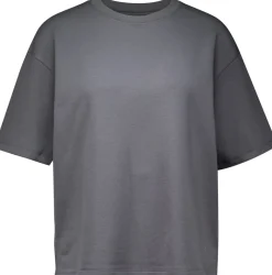 T-shirt Tindra Grijs