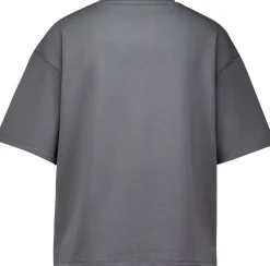 T-shirt Tindra Grijs