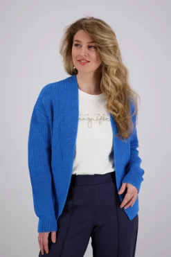 Vest Blauw