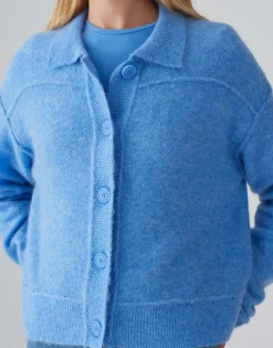 Vest Daneke Blauw